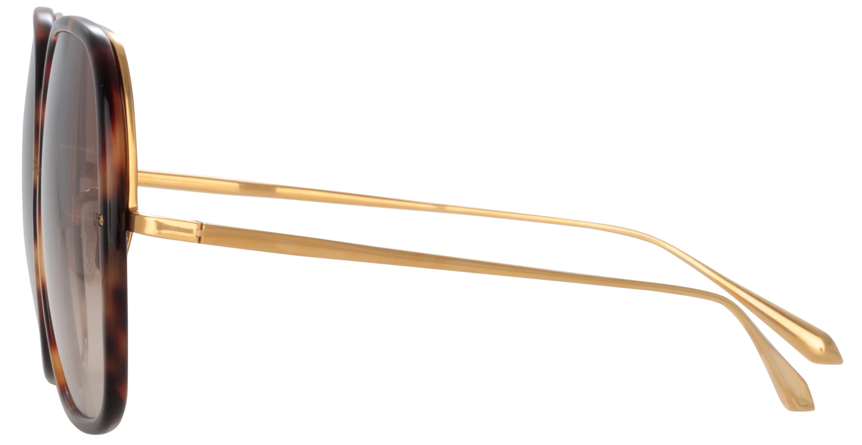 Color_LFL1405C2SUN - Celia Oversized Sunglasses in Tortoise Shell