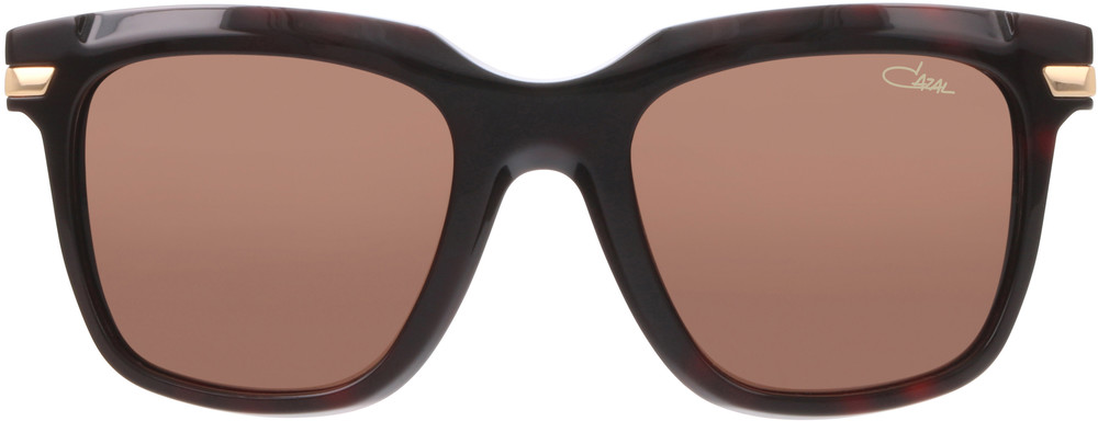 Color_002 - Havana - Gold / Brown