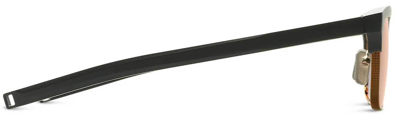 Color_DLS416-A-02 - Matte Black - Black Sand / Land Lens - Brown Polarized