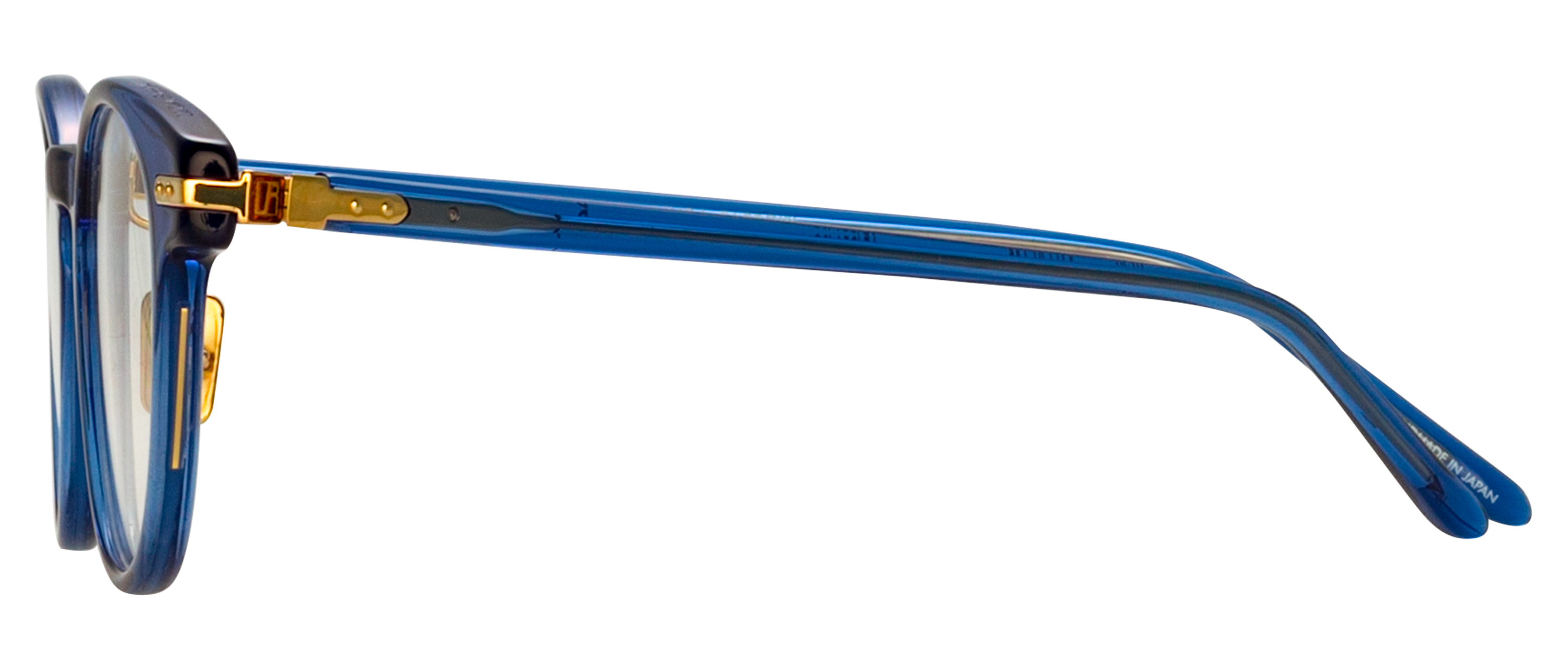 Color_LF25AC19OPT - Bray D-Frame Eyeglasses in Blue and Clear