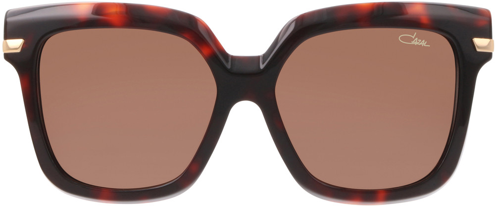 Color_002 - Havana - Gold / Brown
