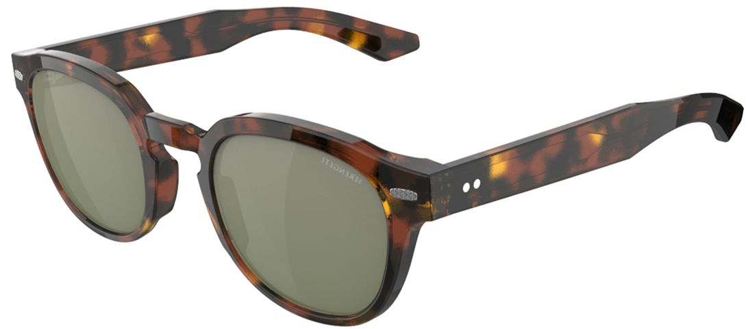 Color_SS761002 - Classic Tortoise / Mineral Polarized Photochromic 555nm Silver Cat 3 to 3