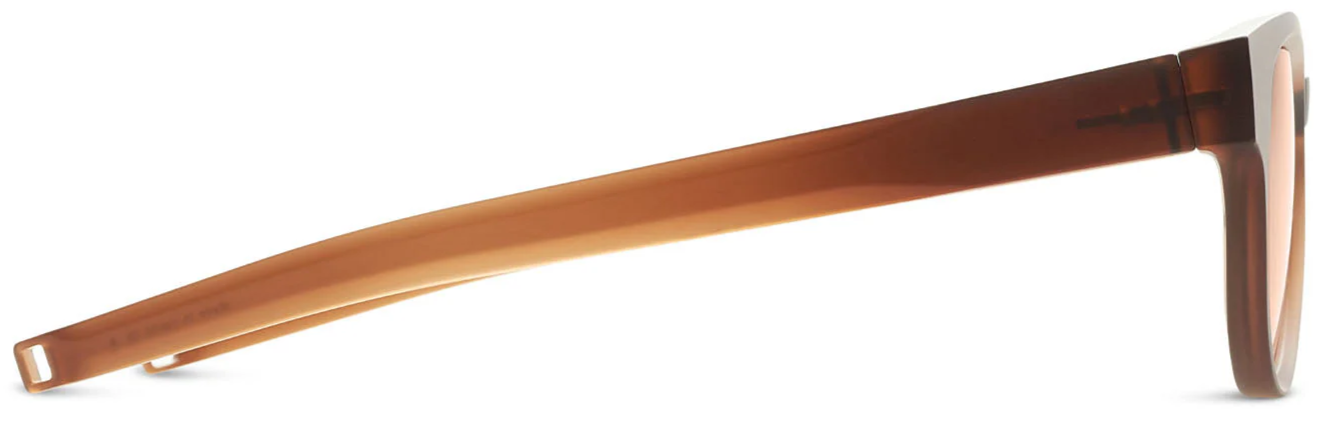 Color_DLS709-A-02 - Copperhead Brown / Land Lens - Brown Polarized