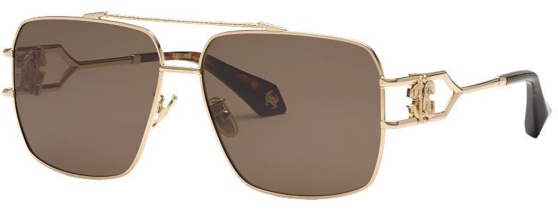 Color_0300 - SHINY ROSE GOLD / BROWN