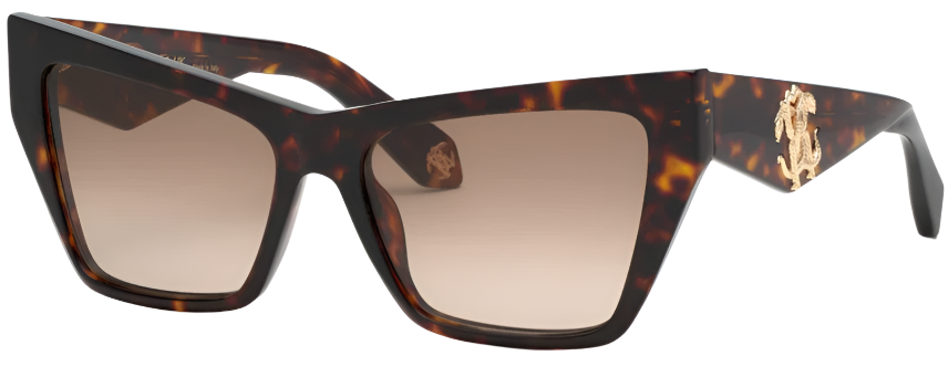 Color_0743 - SHINY BROWN/YELLOW HAVANA - BROWN GRADIENT BROWN