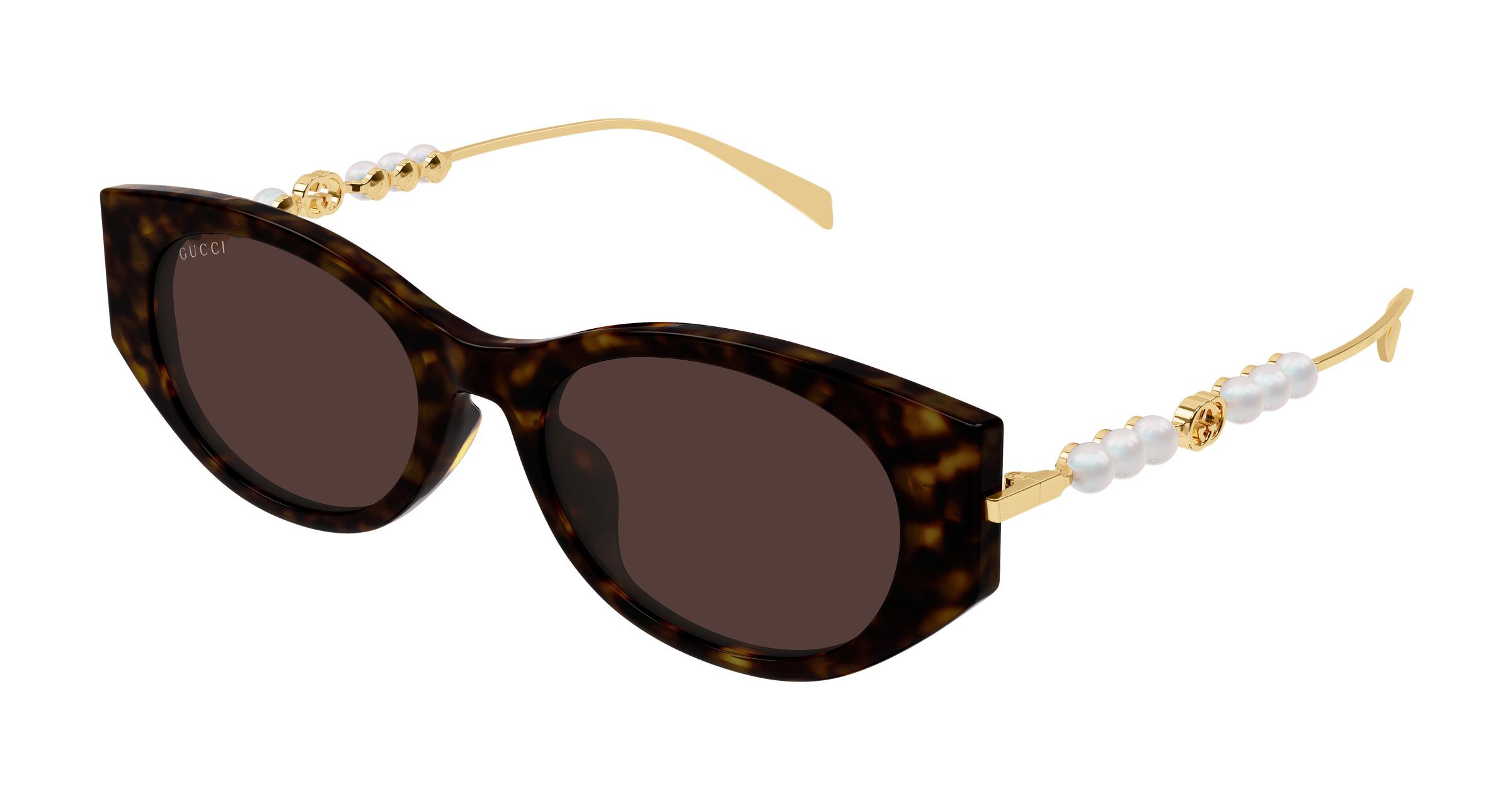 Color_GG1970SA-003 - HAVANA - GOLD / BROWN