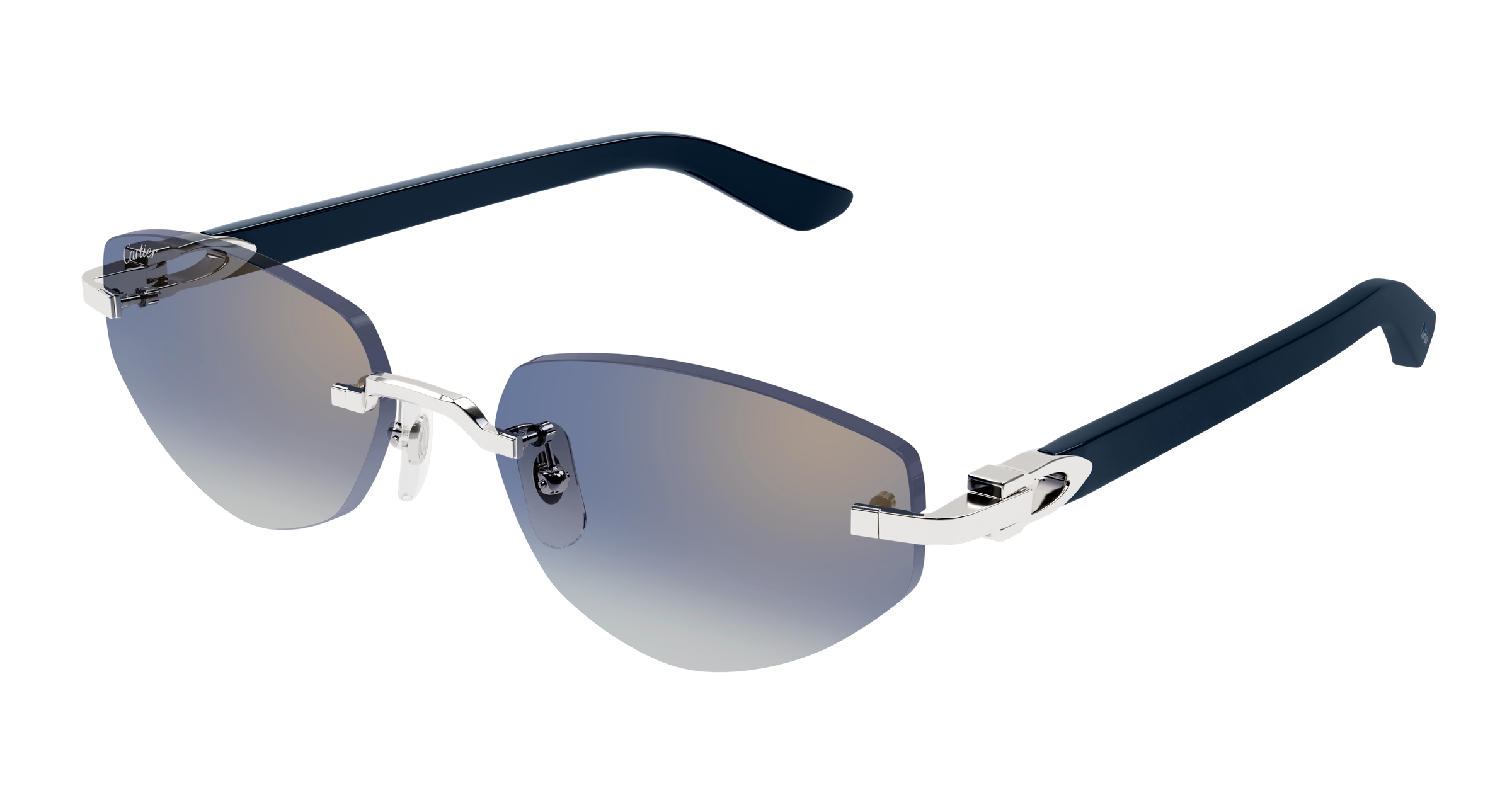 Color_CT0580S-004 - SILVER - BLUE