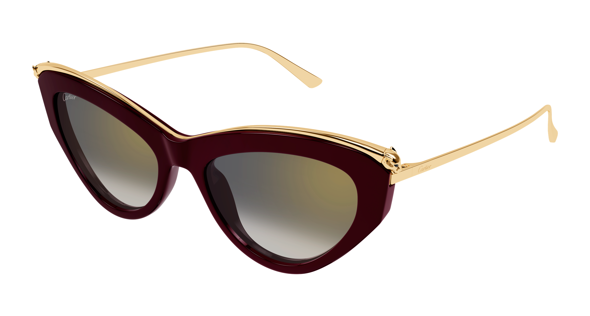 Color_CT0596S-004 - BURGUNDY - GREY