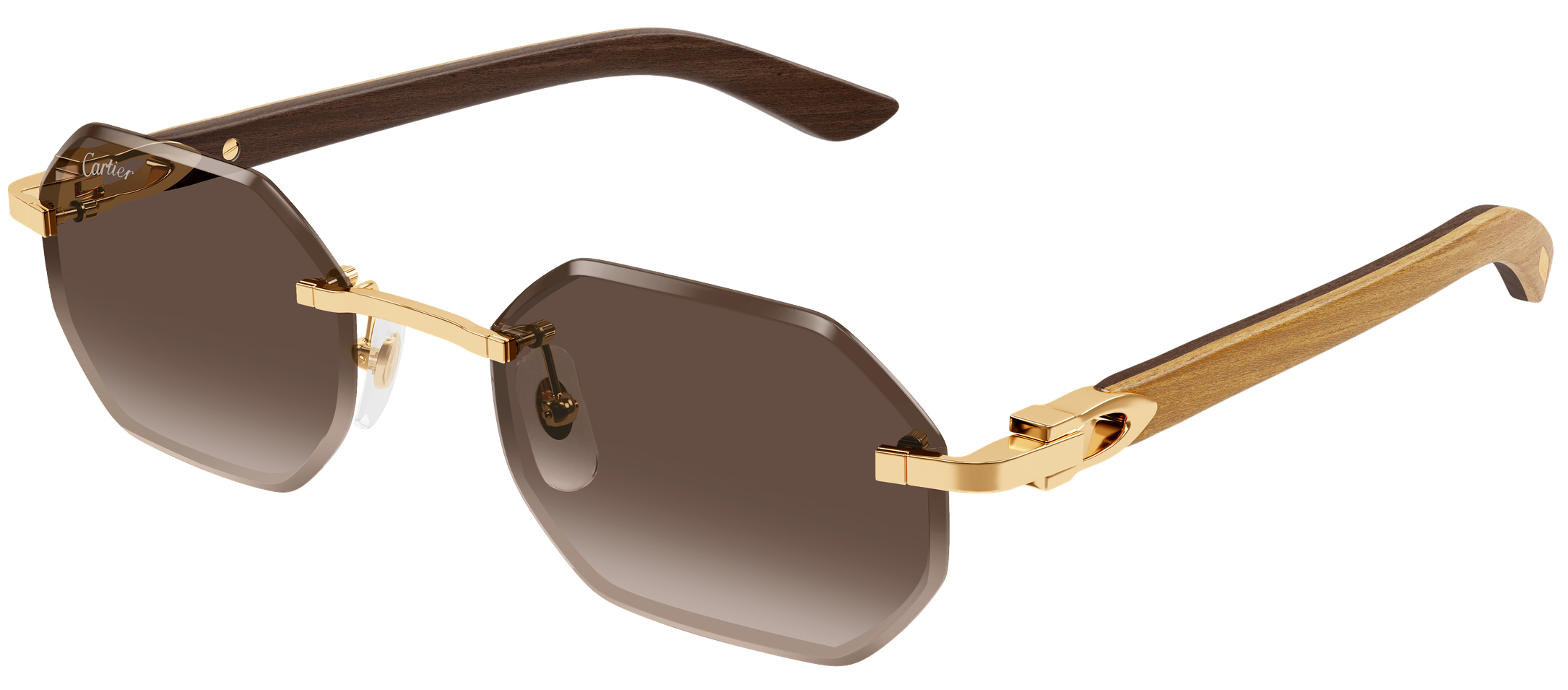 Color_CT0439S-006 - GOLD - BROWN