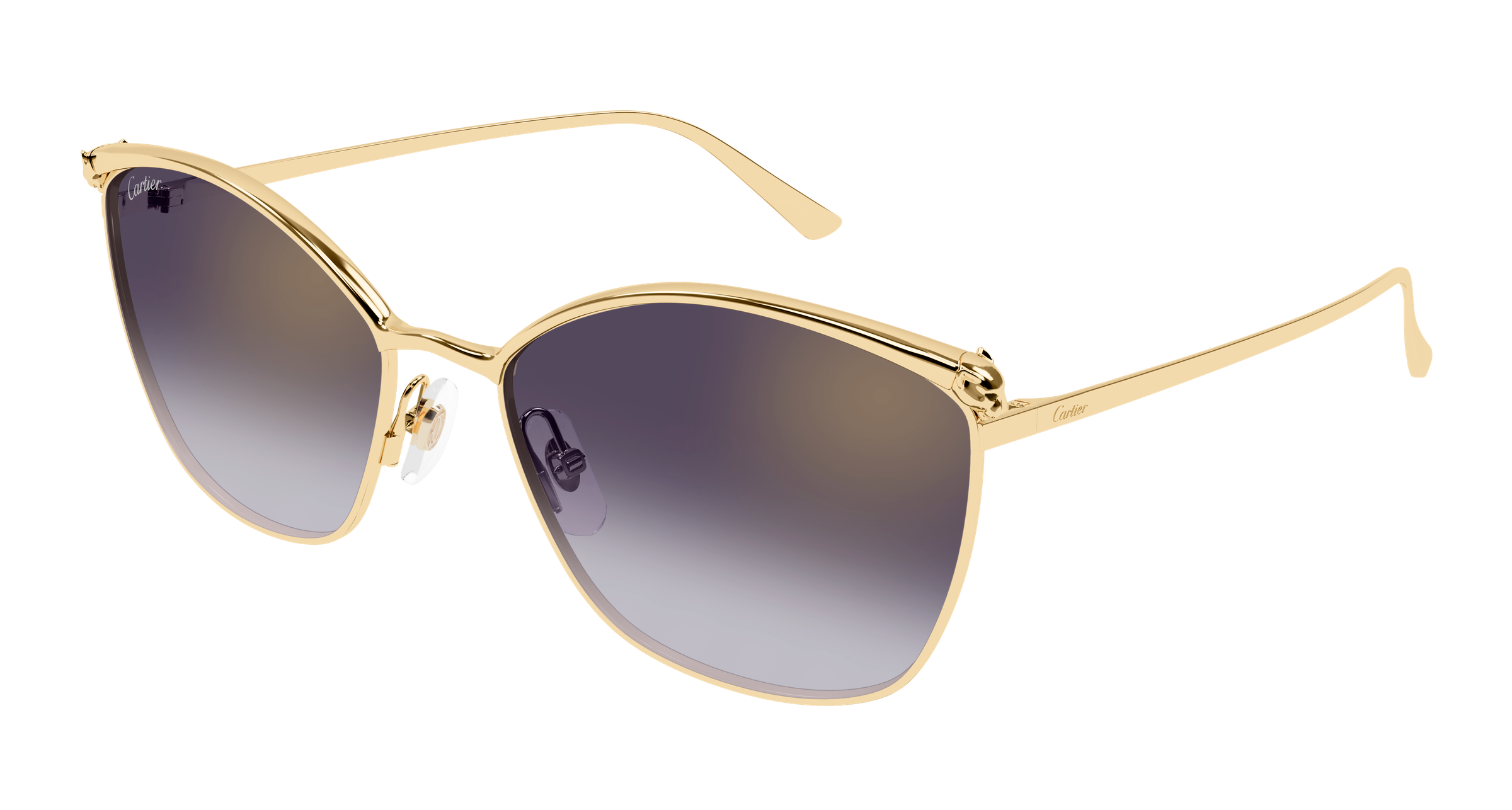 Color_CT0595S-004 - GOLD - VIOLET