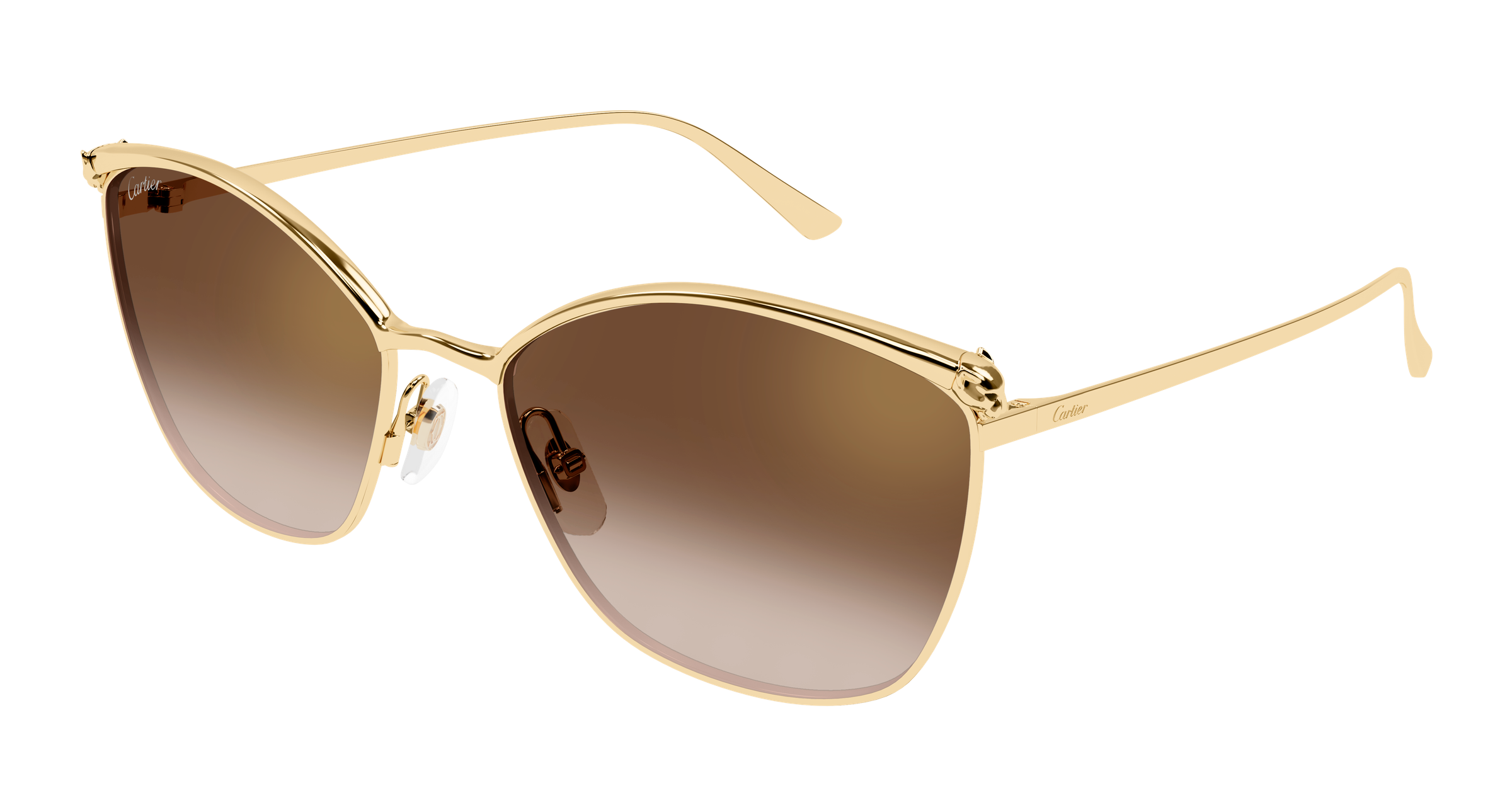 Color_CT0595S-002 - GOLD - BROWN