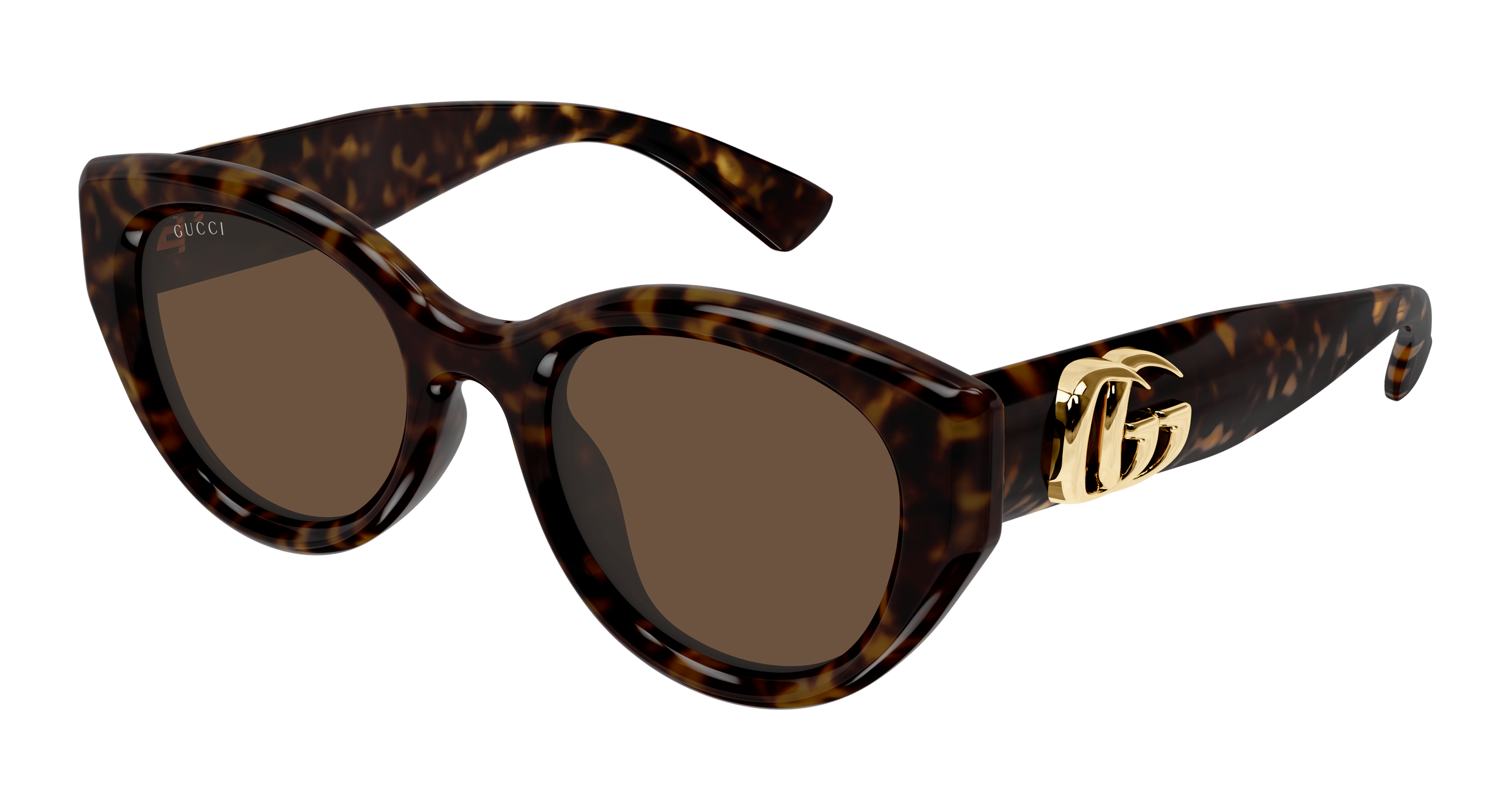 Color_GG1976SK-003 - HAVANA - HAVANA / BROWN