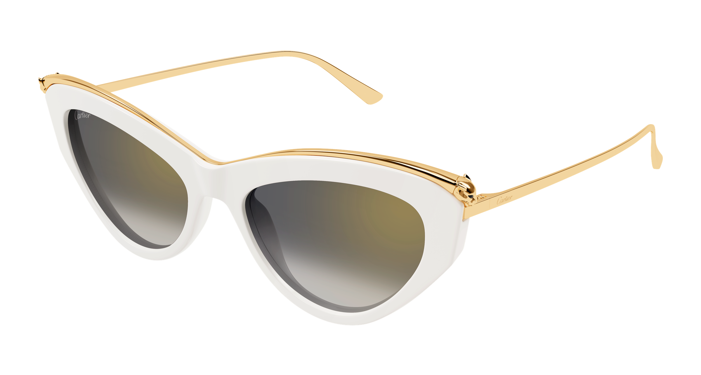 Color_CT0596S-005 - WHITE - GREY