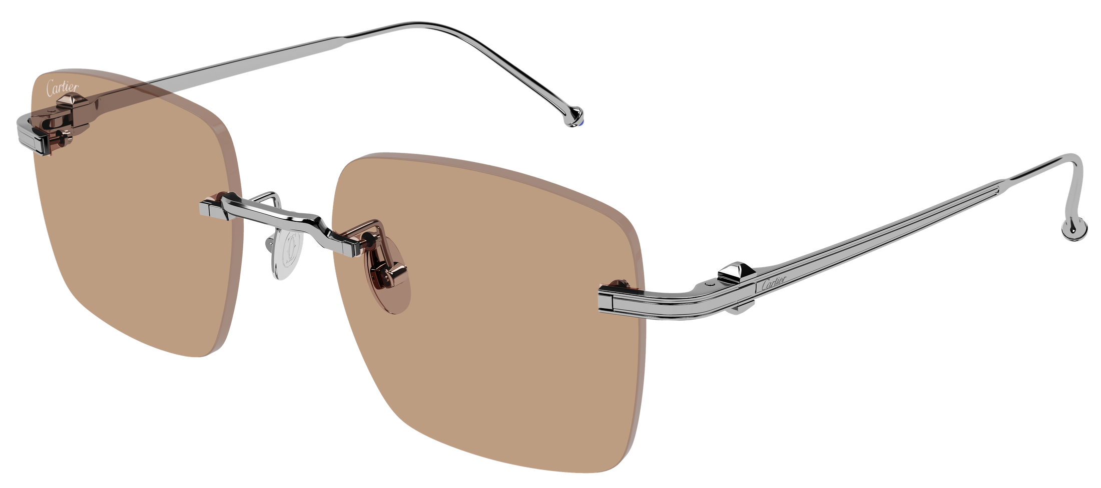 Color_CT0403S-005 - GUTMETAL - BROWN