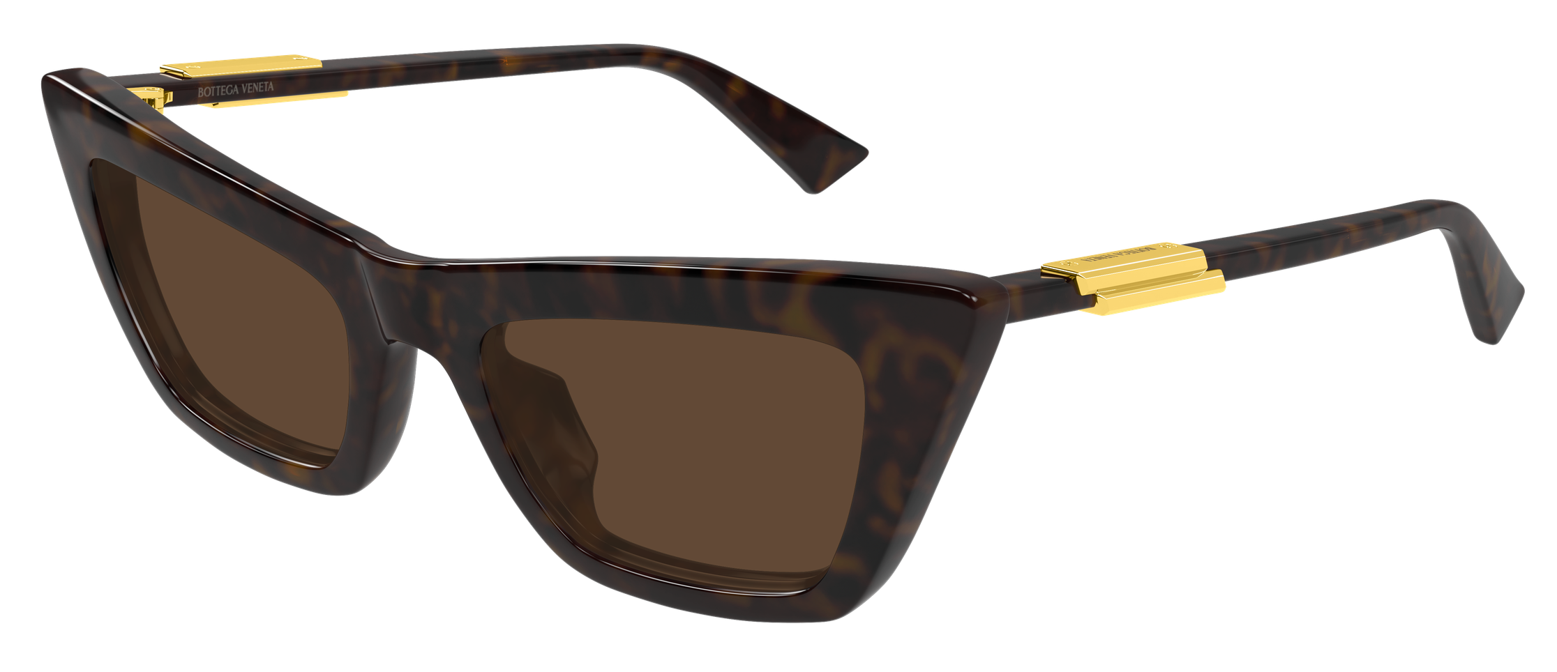 Color_BV1446S-002 - HAVANA - HAVANA - BROWN