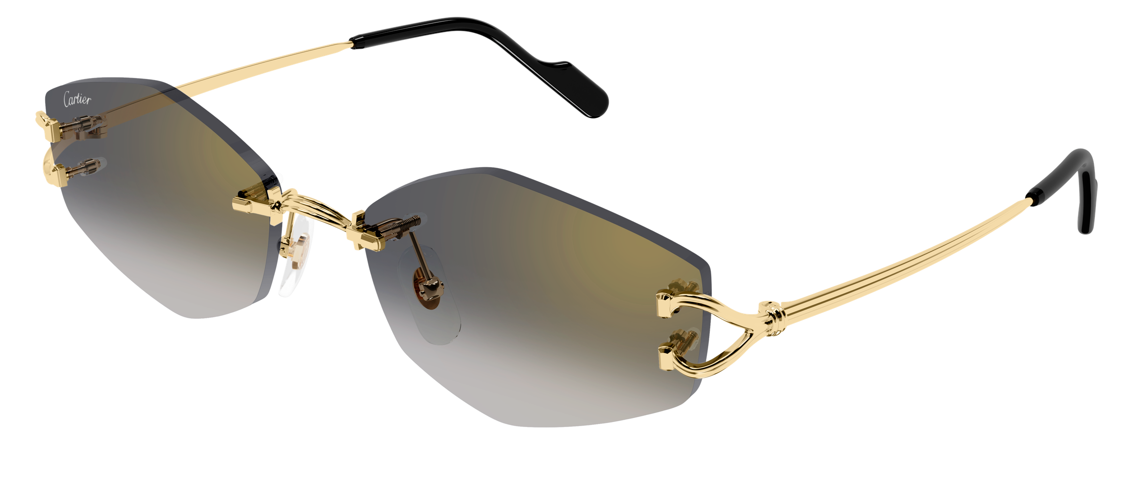 Color_CT0620S-001 - GOLD - GREY (AR)