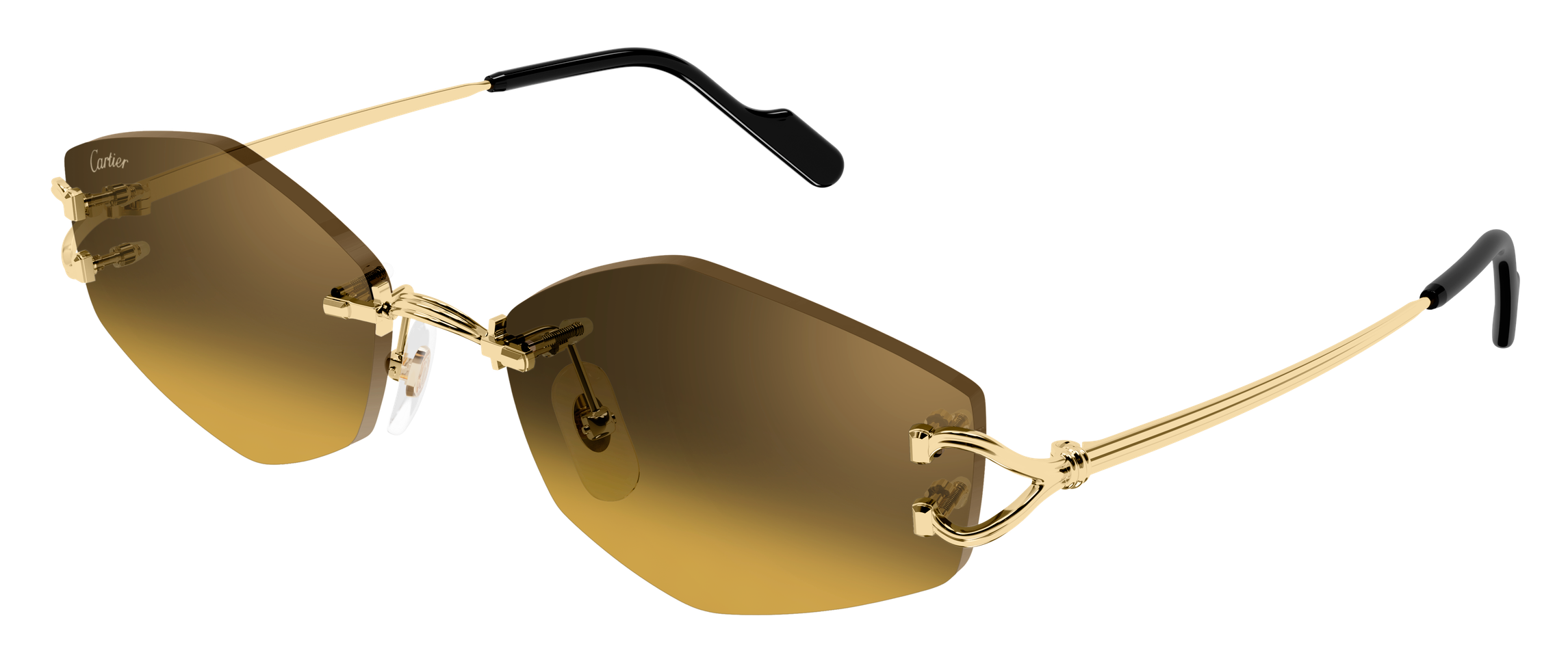 Color_CT0620S-003 - GOLD - BROWN (AR)
