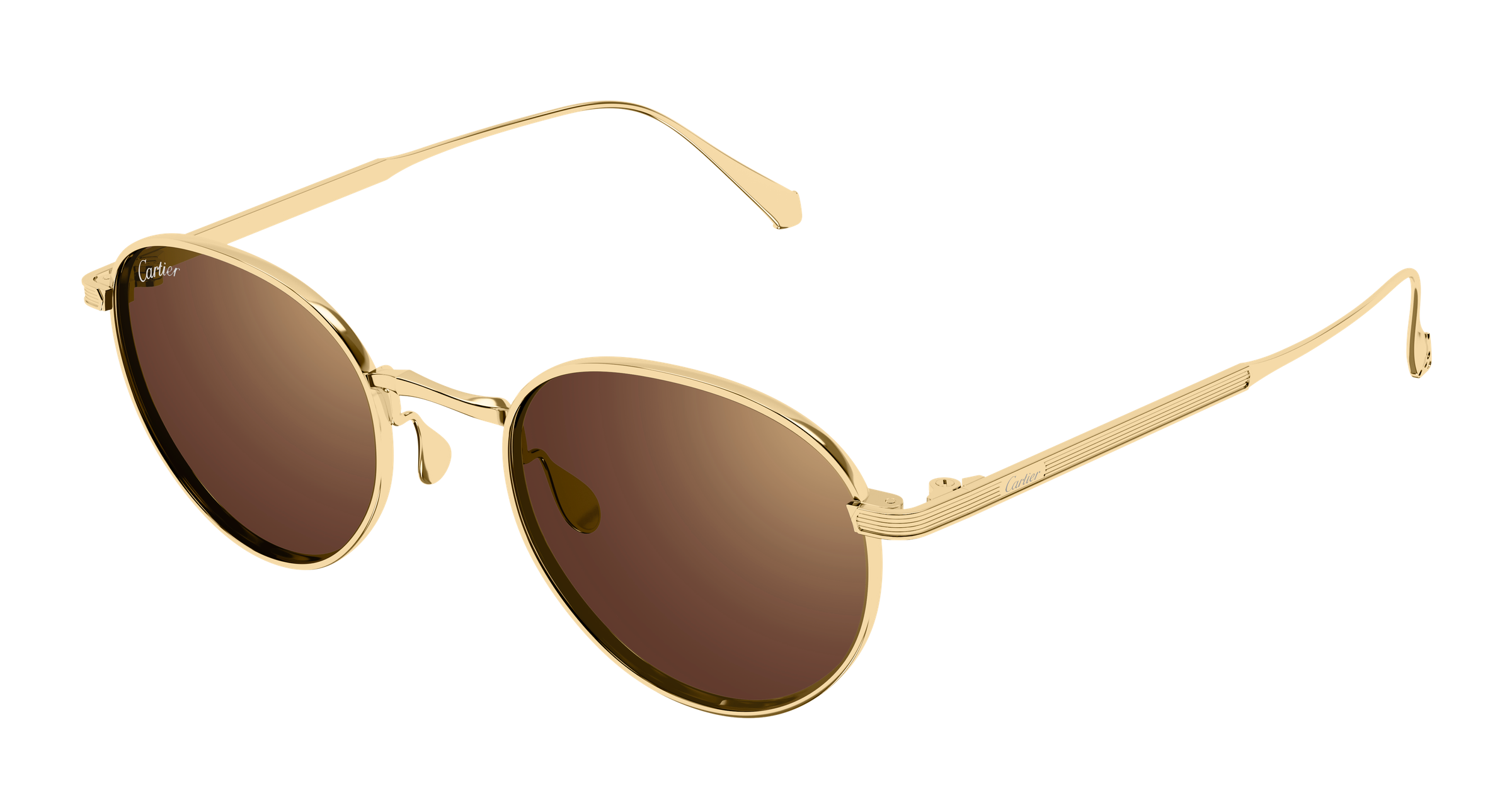 Color_CT0626S-002 - GOLD - GOLD - BROWN / (S 49mm - 21mm - 145mm)