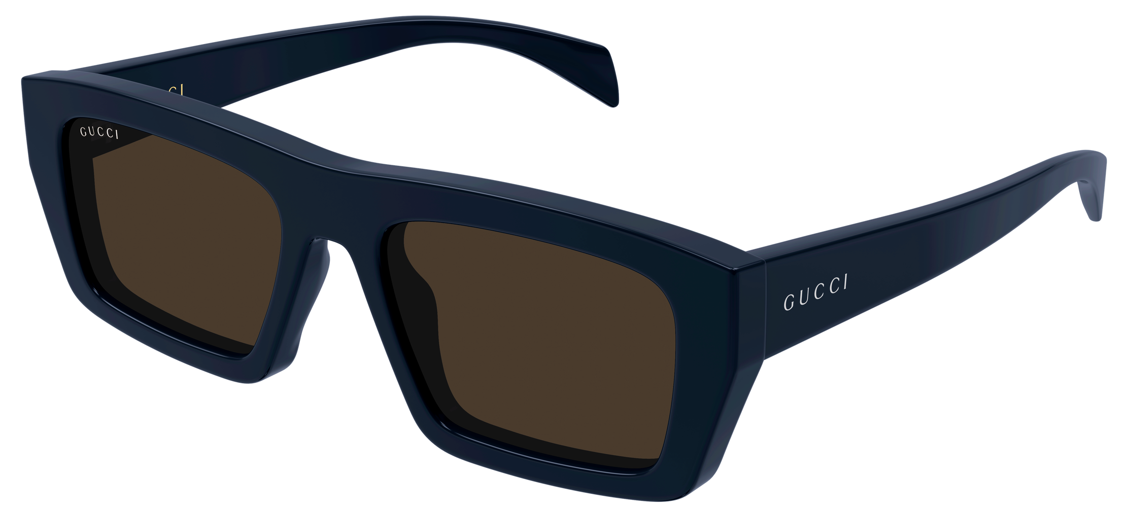 Color_GG2020S-003 - BLUE - BLUE - BROWN