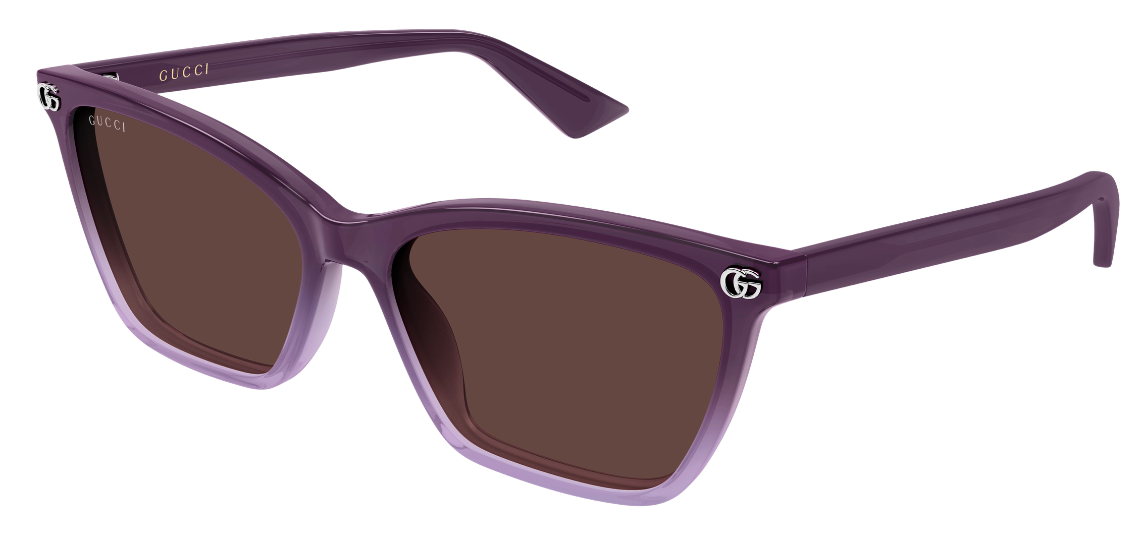 Color_GG2111S-003 - Violet - Violet - Brown