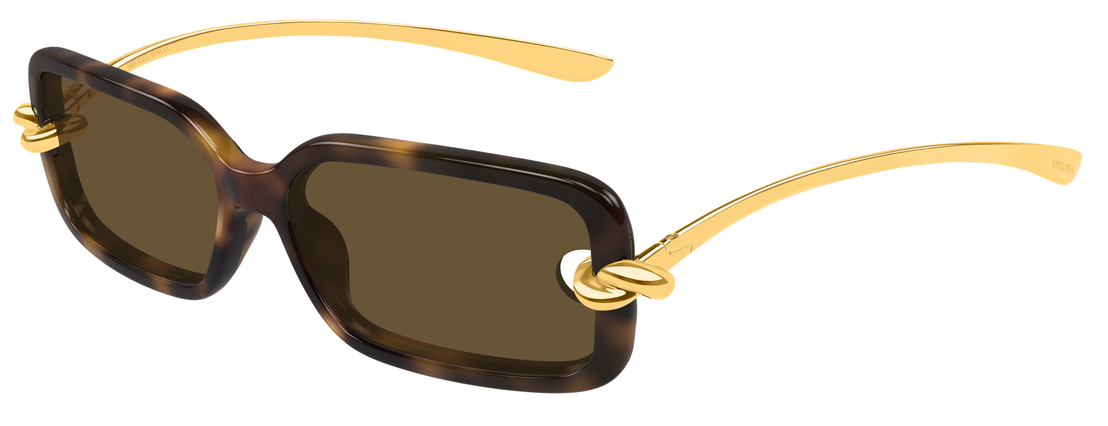 Color_BV1439S-002 - HAVANA - GOLD - BROWN