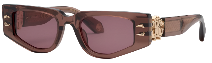 Color_06ME - SHINY TRANSP.BROWN / VIOLET