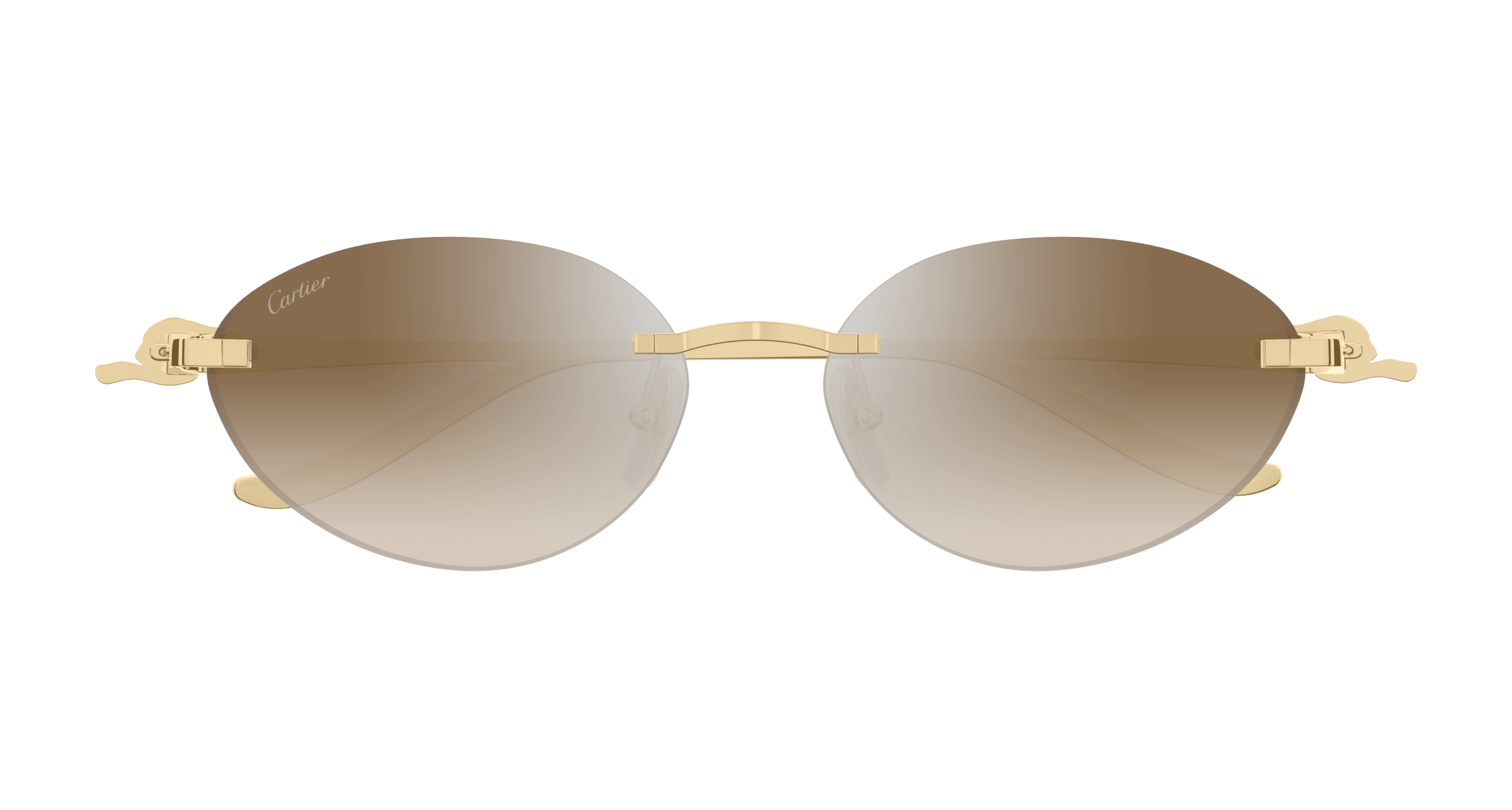 Color_CT0504S-003 - GOLD - BROWN