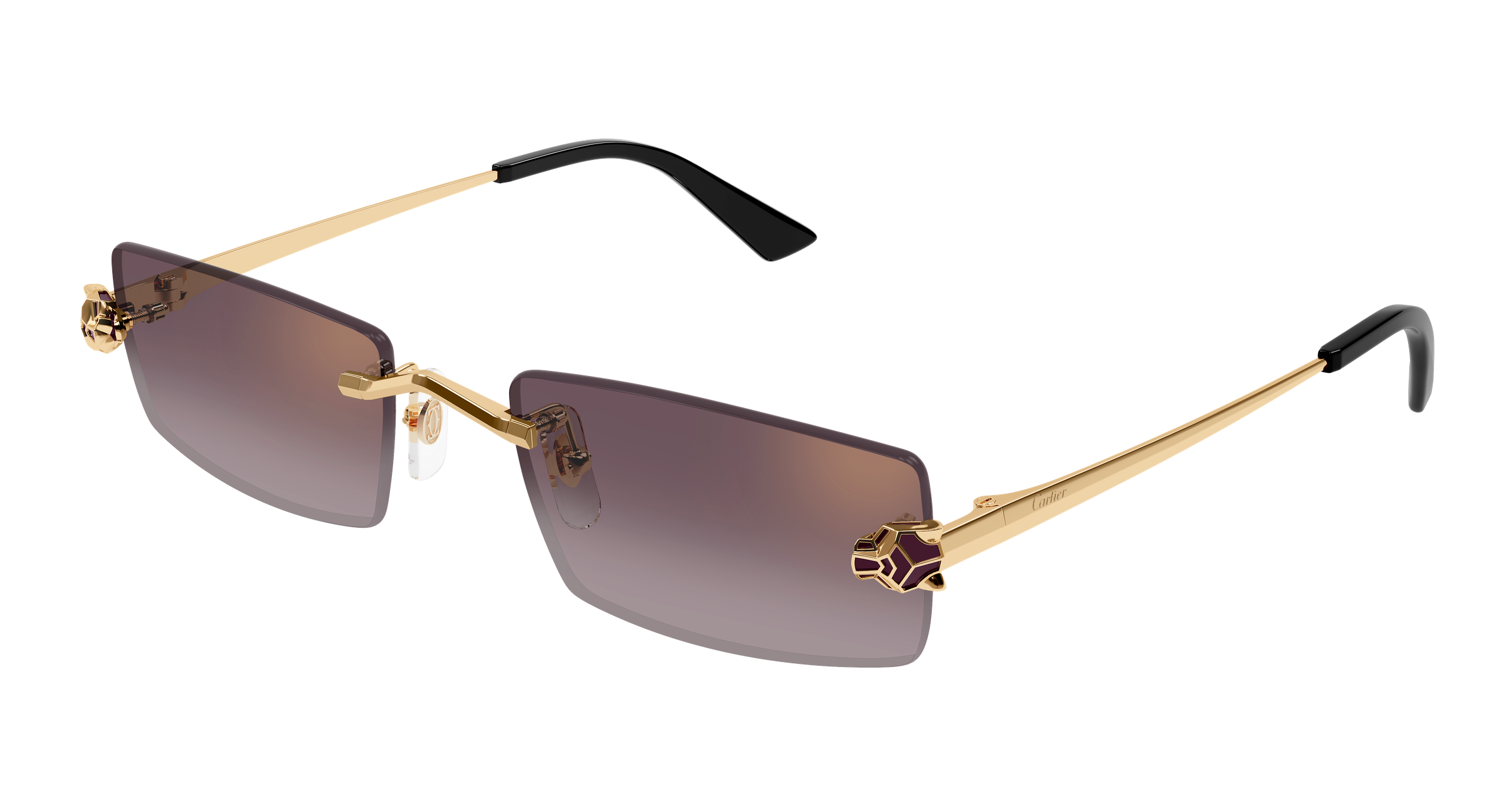 Color_CT0598S-005 - GOLD - VIOLET