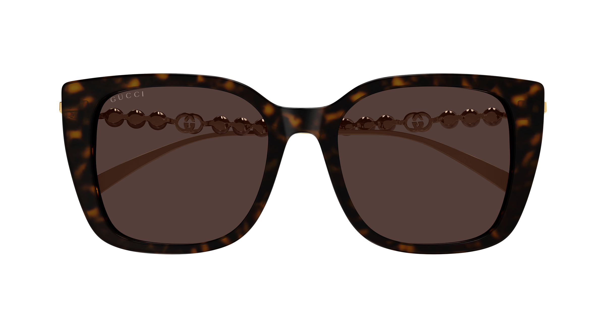 Color_GG1971SA-003 - HAVANA - GOLD / BROWN