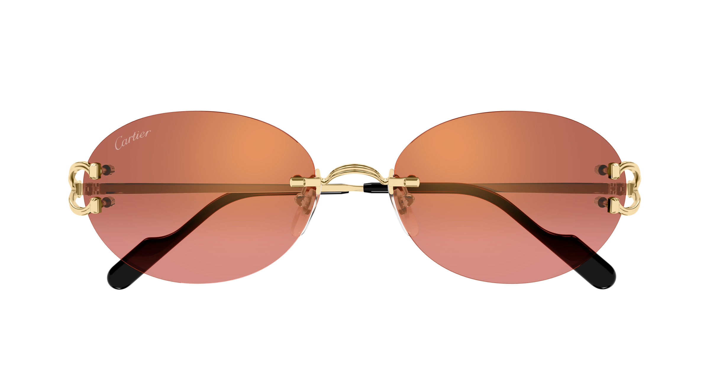 Color_CT0551S-005 - GOLD - RED 