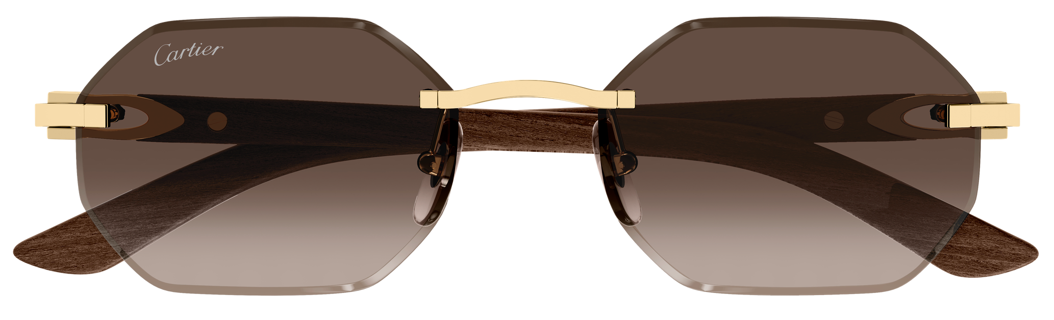 Color_CT0439S-006 - GOLD - BROWN