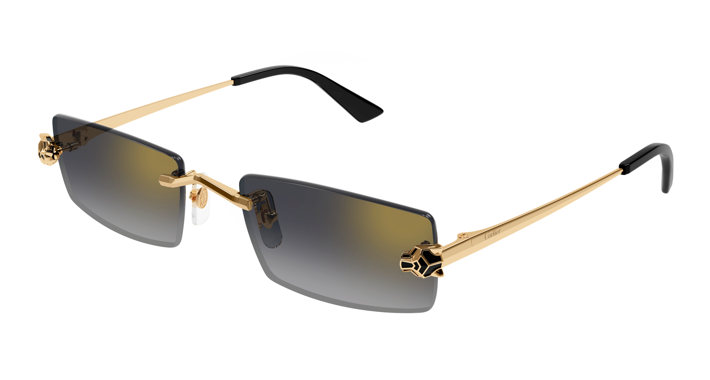 Color_CT0598S-001 - GOLD - GREY