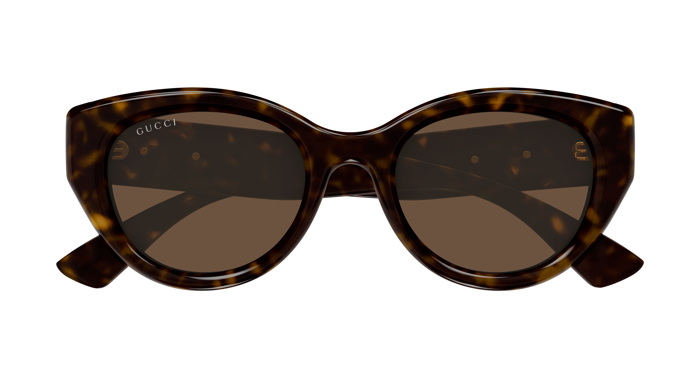 Color_GG1976SK-003 - HAVANA - HAVANA / BROWN