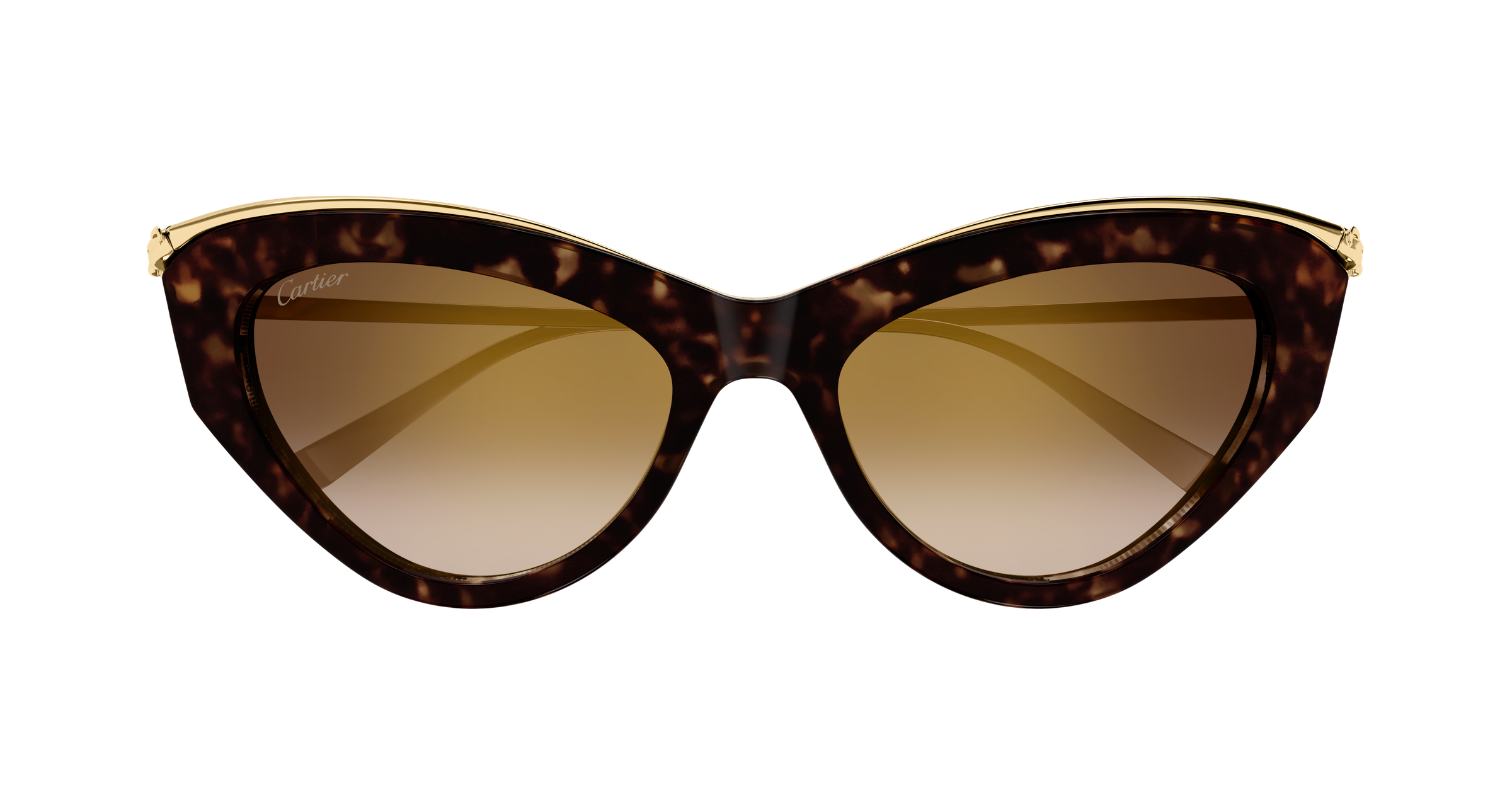 Color_CT0596S-002 - HAVANA - BROWN