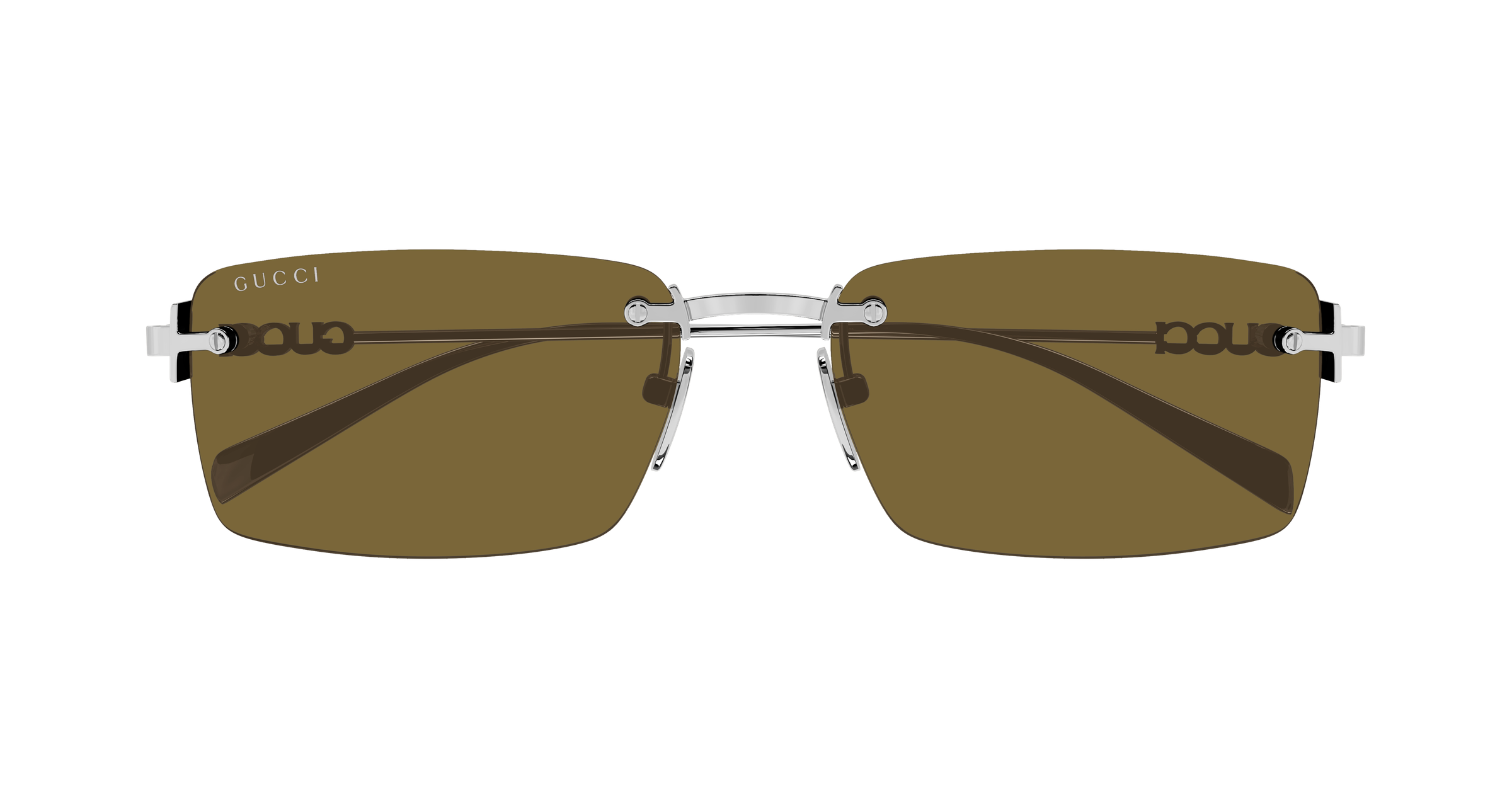 Color_GG1941S-002 - SILVER - SILVER / BROWN