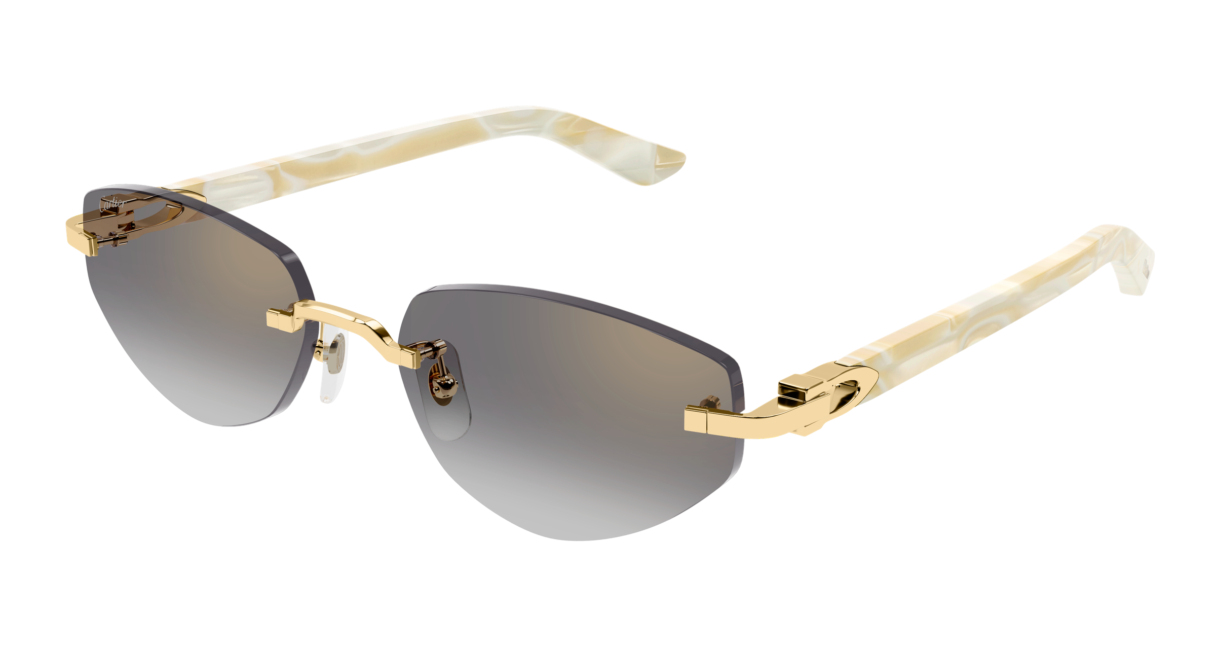 Color_CT0580S-003 - GOLD - GREY