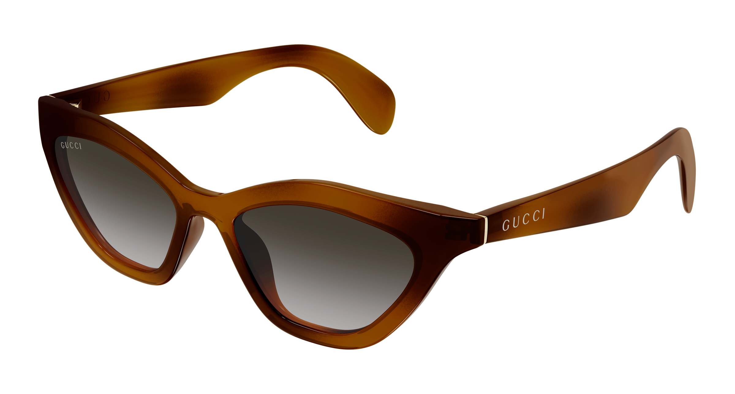 Color_GG1931S-003 - HAVANA - HAVANA / GREY