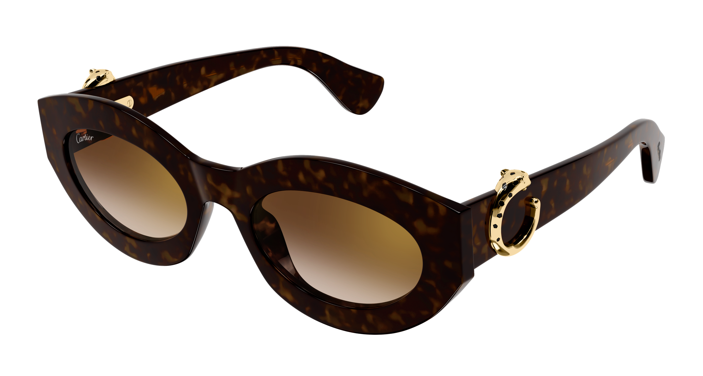 Color_CT0638S-002 - HAVANA - HAVANA - BROWN