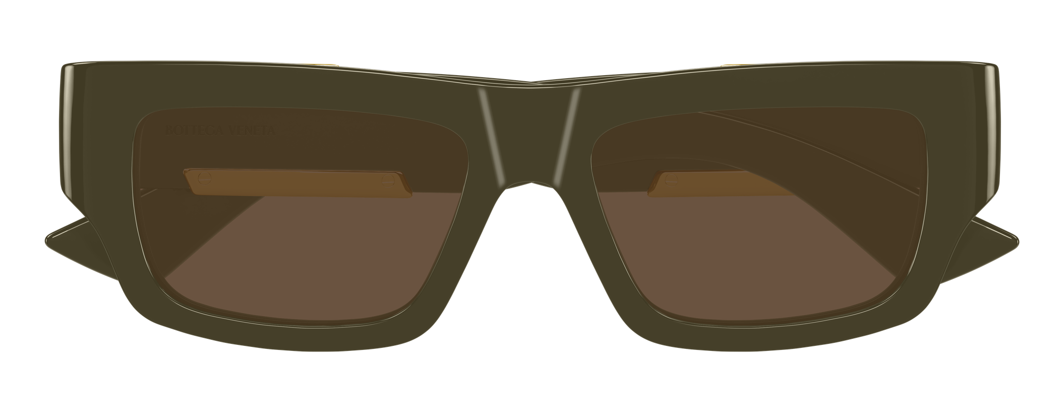 Color_BV1452S-003 - GREEN - GREEN - BROWN