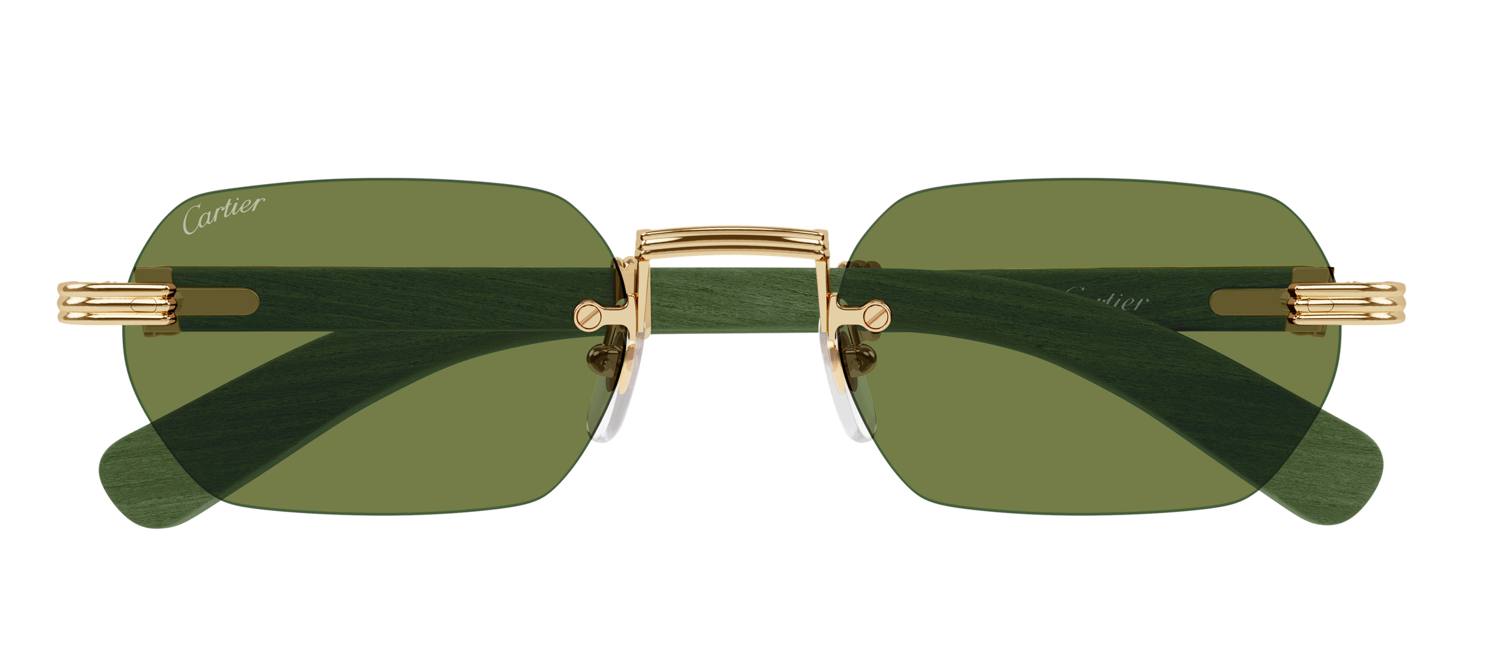 Color_CT0362S-006 - GOLD - GREEN HORN / GREEN