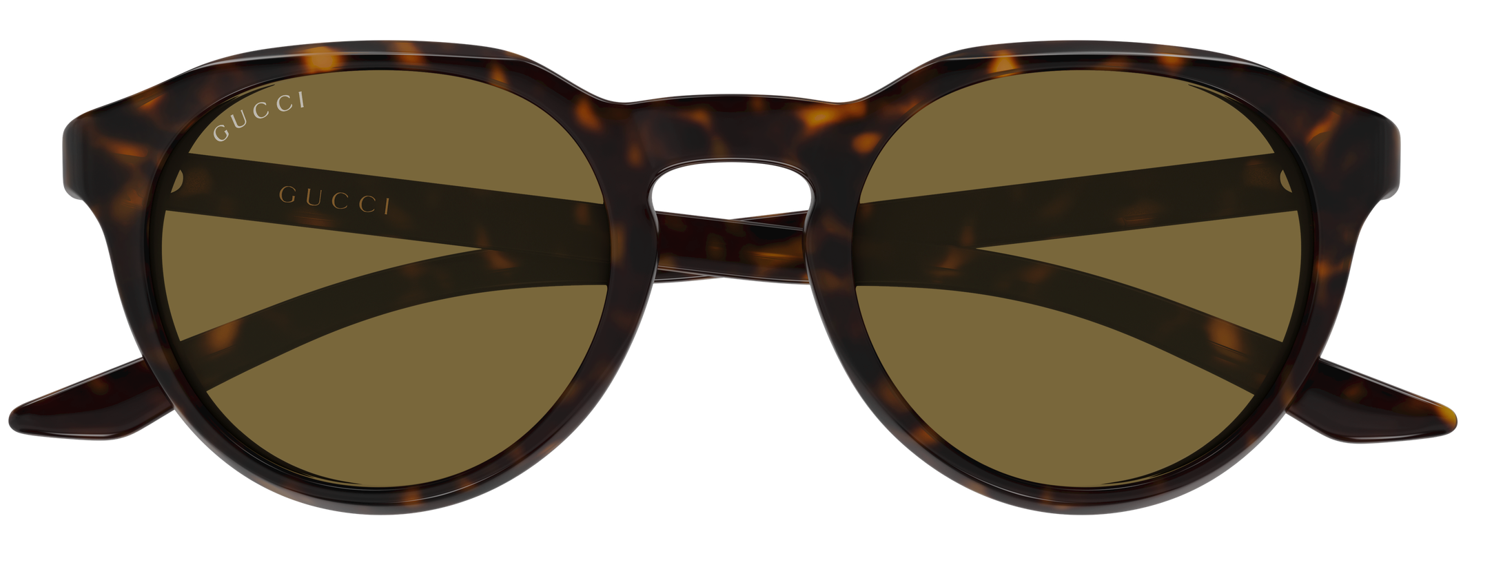 Color_GG2079S-002 - Havana - Havana - Brown