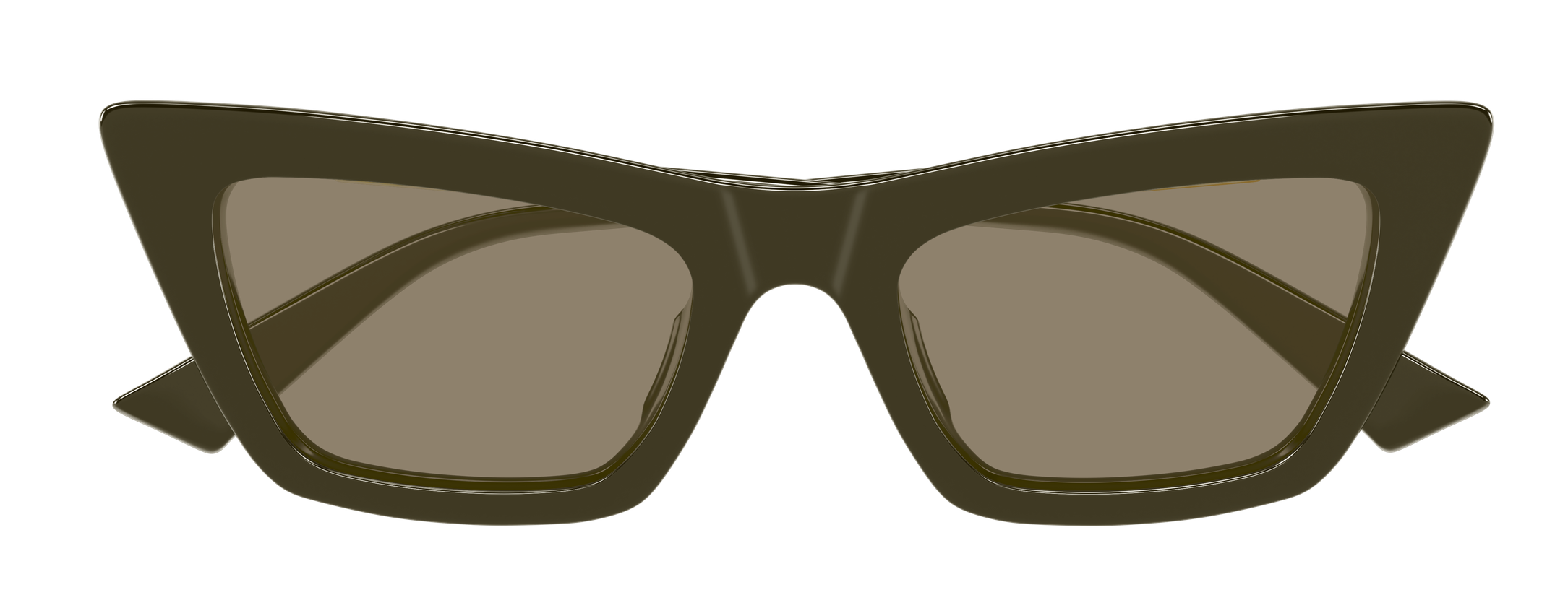 Color_BV1446S-005 - GREEN - GREEN - BROWN