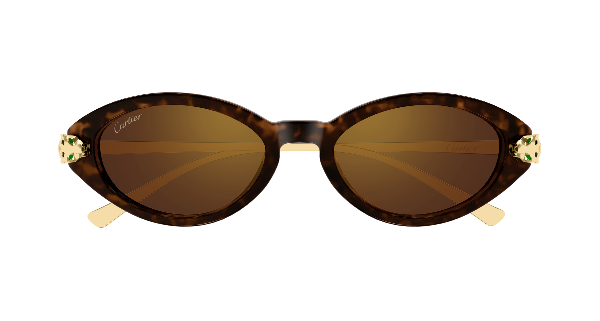 Color_CT0634S-002 - HAVANA - GOLD - BROWN