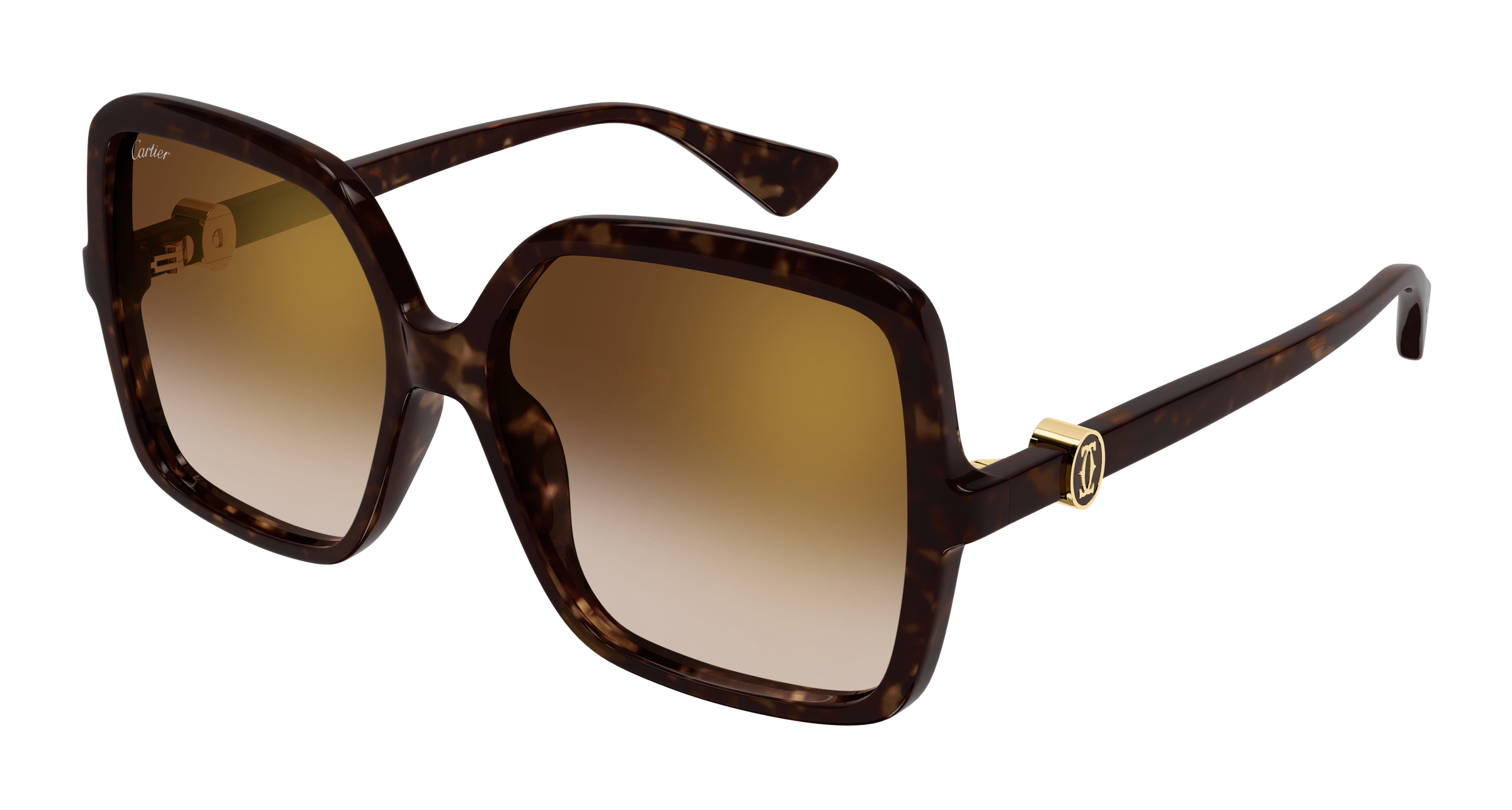 Color_CT0641S-002 - HAVANA - HAVANA - BROWN
