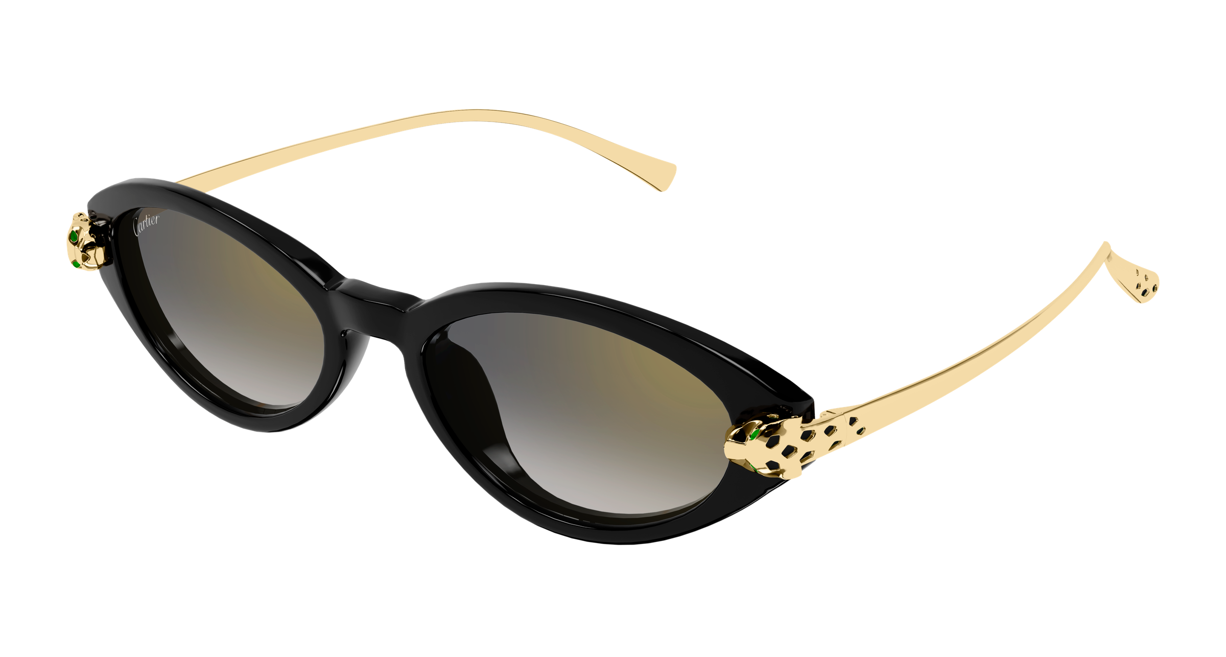 Color_CT0634S-001 - BLACK - GOLD - GREY