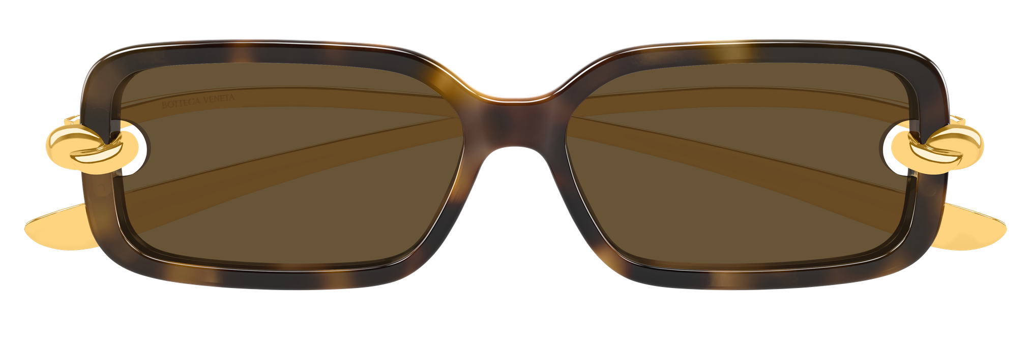 Color_BV1439S-002 - HAVANA - GOLD - BROWN