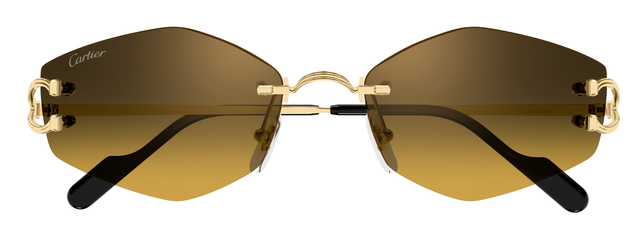 Color_CT0620S-003 - GOLD - BROWN (AR)