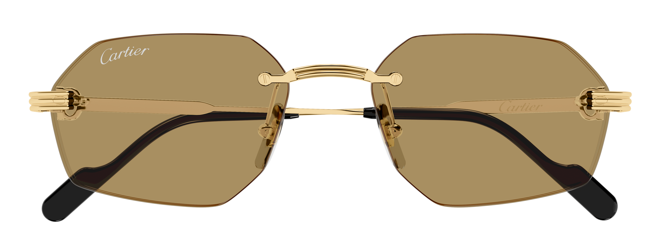 Color_CT0616S-002 - GOLD - BROWN