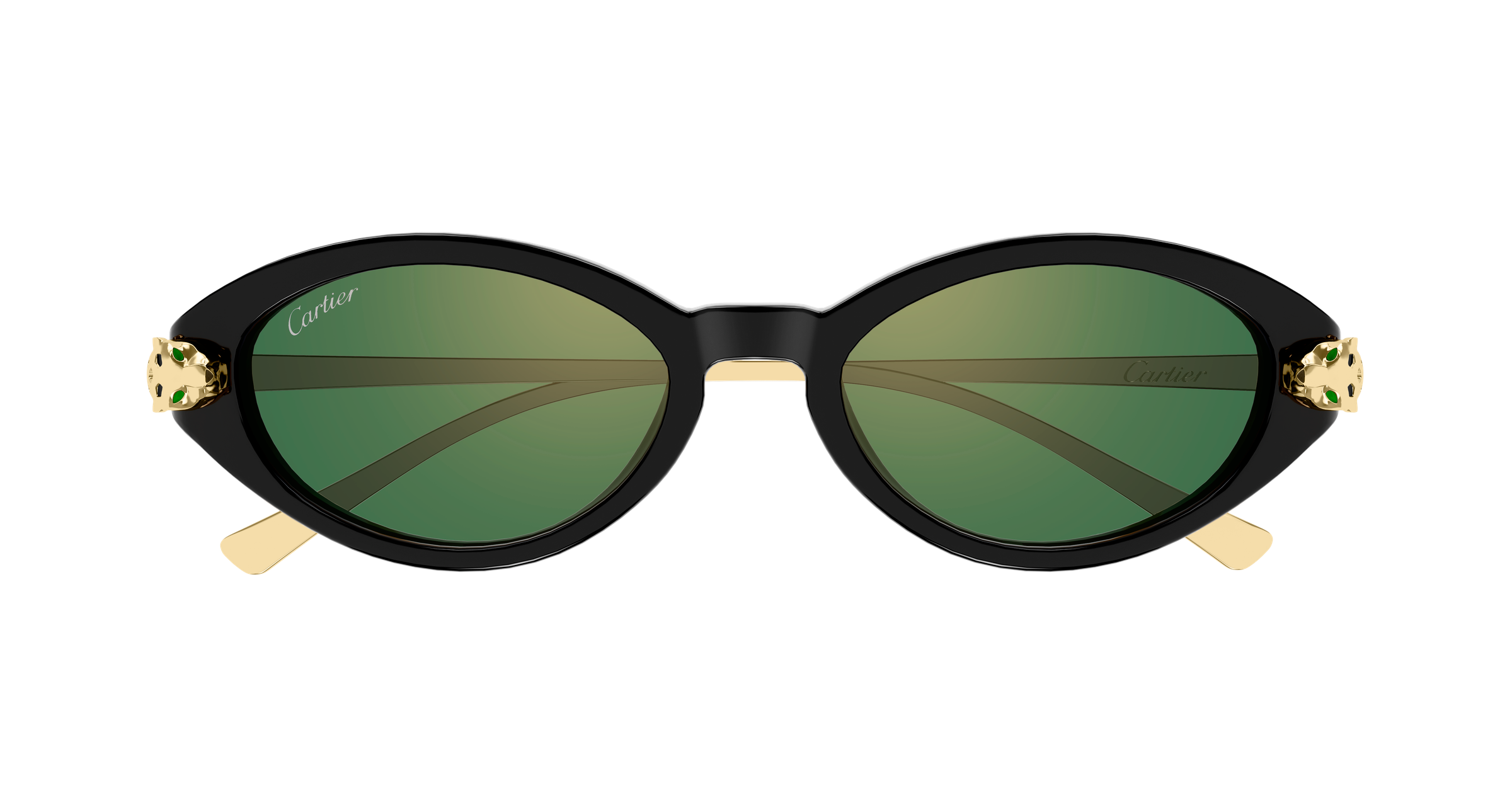 Color_CT0634S-003 - BLACK - GOLD - GREEN