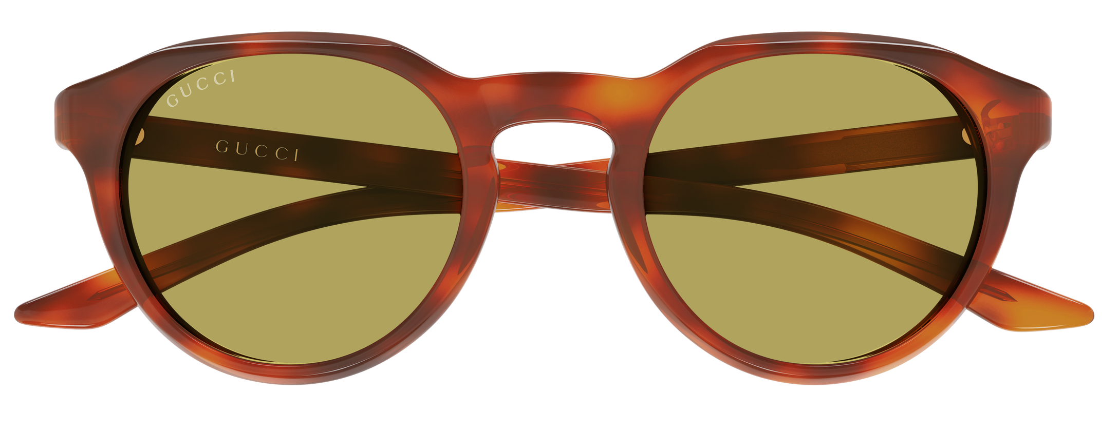 Color_GG2079S-005 - Havana - Havana - Green